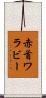 赤首ワラビー Scroll