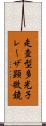 走査型多光子レーザ顕微鏡 Scroll
