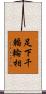 足下千輻輪相 Scroll