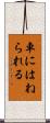 車にはねられる Scroll