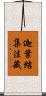 迦葉結集法藏 Scroll