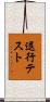 退行テスト Scroll