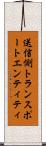 送信側トランスポートエンティティ Scroll