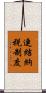 連結納税制度 Scroll