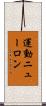 運動ニューロン Scroll