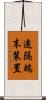 遠隔端末装置 Scroll