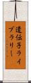 遺伝子ライブラリー Scroll