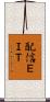 配信ＥＩＴ Scroll