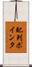 配列ポインタ Scroll