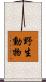 野生動物 Scroll