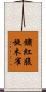 鏽紅腹旋木雀 Scroll