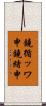 鐃循ッワ申鐃緒申 Scroll