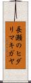 長瀬のヒダリマキガヤ Scroll