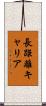 長距離キャリア Scroll