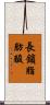 長鎖脂肪酸 Scroll