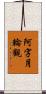 阿字月輪觀 Scroll