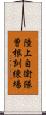 陸上自衛隊曽根訓練場 Scroll