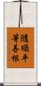 隨順平等善根 Scroll