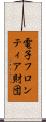 電子フロンティア財団 Scroll