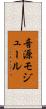 音源モジュール Scroll