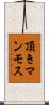 頂きマンモス Scroll