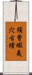 須曽蝦夷穴古墳 Scroll