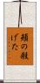 頬の殺げた Scroll