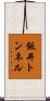 飯井トンネル Scroll