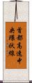 首都高速中央環状線 Scroll