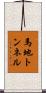 馬地トンネル Scroll