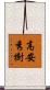 高安秀樹 Scroll