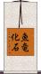 魚竜化石 Scroll