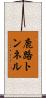 鹿路トンネル Scroll