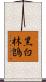 黑白林鵖 Scroll