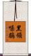 黑領噪鶥 Scroll