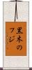黒木のフジ Scroll