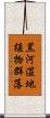 黒河湿地植物群落 Scroll