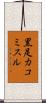 黒足カコミスル Scroll