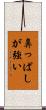 鼻っぱしが強い Scroll