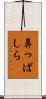 鼻っぱしら Scroll