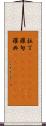 拉丁(ateji)(rK) Scroll