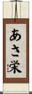 あさ栄 Scroll