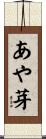 あや芽 Scroll