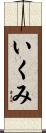 いくみ Scroll