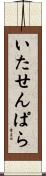 いたせんぱら Scroll
