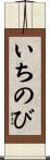 いちのび Scroll