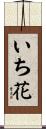 いち花 Scroll