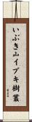 いぶき山イブキ樹叢 Scroll