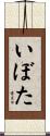 いぼた Scroll
