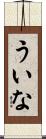 ういな Scroll